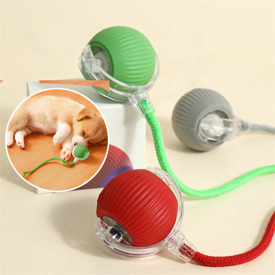 INTERACTIVE PET TOY BALL - VAOCOM