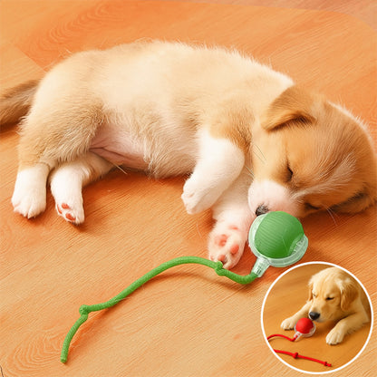 INTERACTIVE PET TOY BALL - VAOCOM
