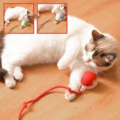 INTERACTIVE PET TOY BALL - VAOCOM