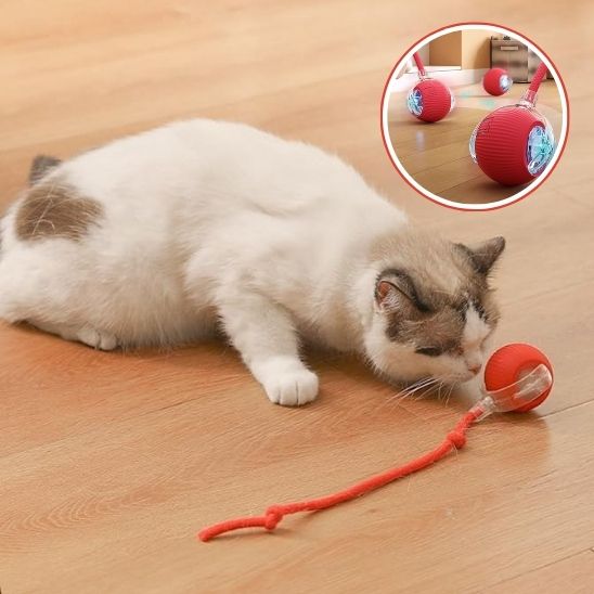 INTERACTIVE PET TOY BALL - VAOCOM