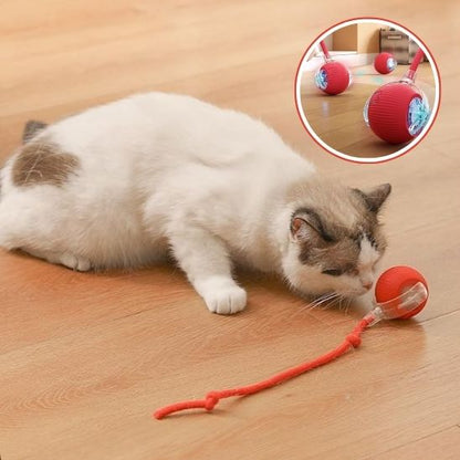 INTERACTIVE PET TOY BALL - VAOCOM
