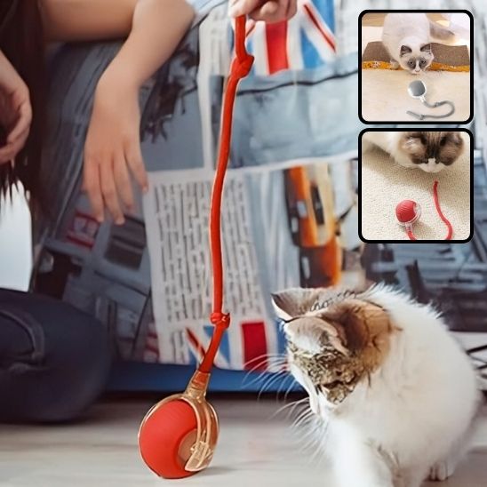 INTERACTIVE PET TOY BALL - VAOCOM