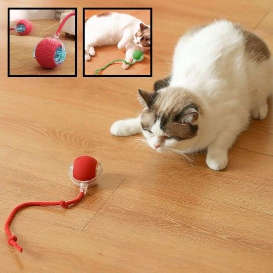 INTERACTIVE PET TOY BALL - VAOCOM