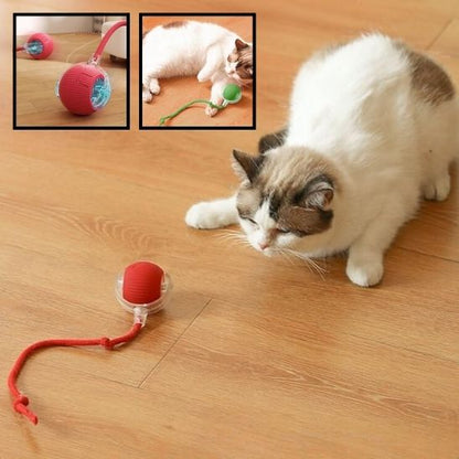 INTERACTIVE PET TOY BALL - VAOCOM