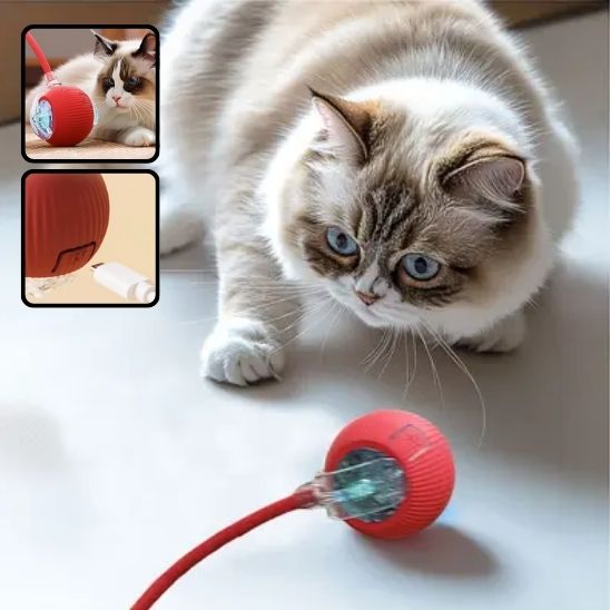 INTERACTIVE PET TOY BALL - VAOCOM