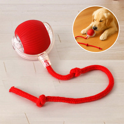 INTERACTIVE PET TOY BALL - VAOCOM