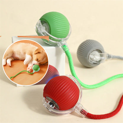 INTERACTIVE PET TOY BALL - VAOCOM