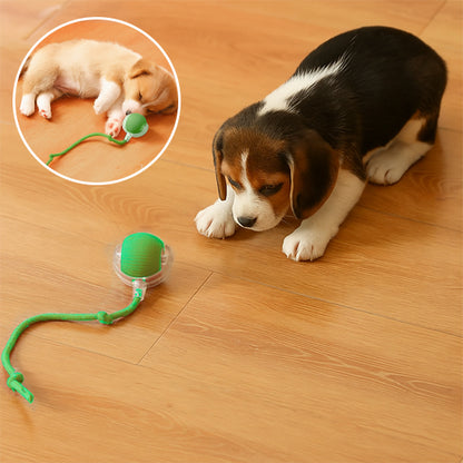 INTERACTIVE PET TOY BALL - VAOCOM