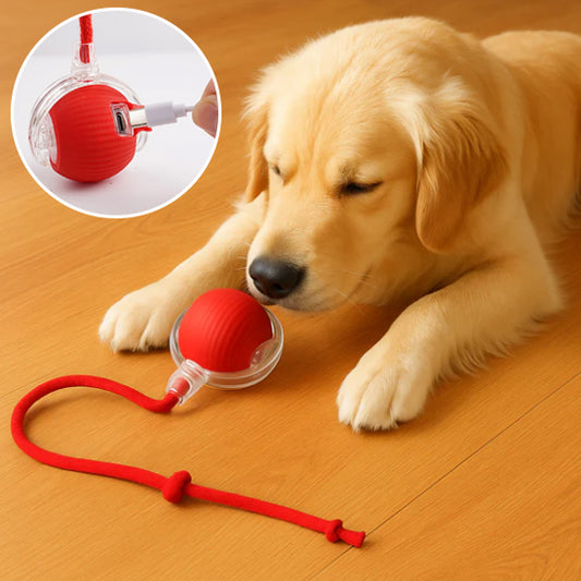INTERACTIVE PET TOY BALL - VAOCOM
